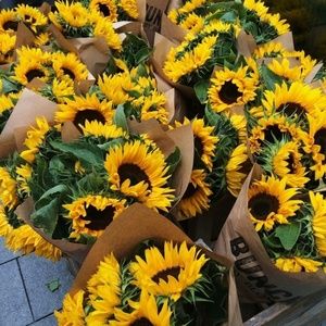 Meet your Posher, Keith